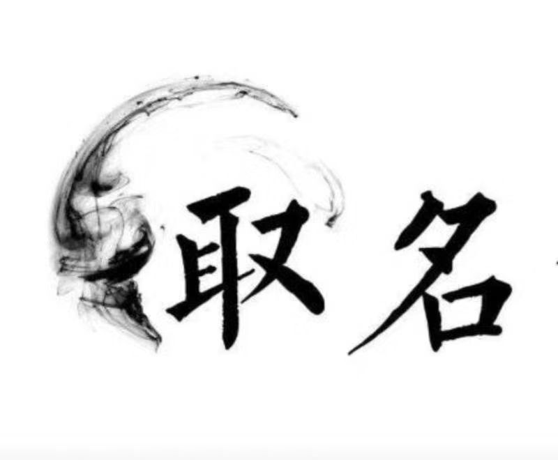  阜城宝宝取名 大师一对一人工起名