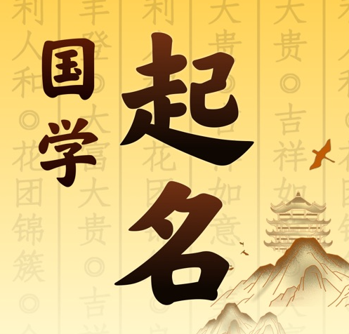 阜城国学起名 人工起名一对一